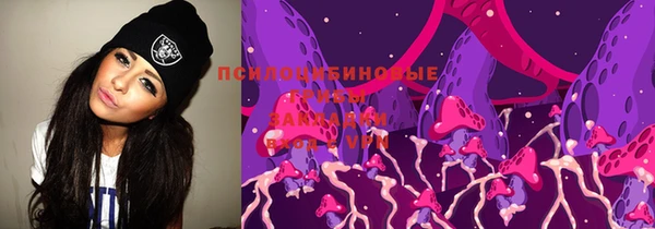 сатива Россошь