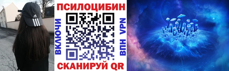 где купить наркоту  Заволжье  Галлюциногенные грибы Psilocybine cubensis 
