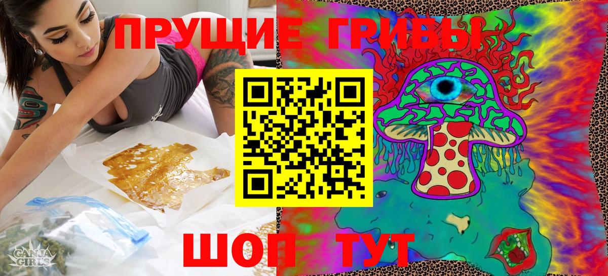 Галлюциногенные грибы Cubensis Заволжье